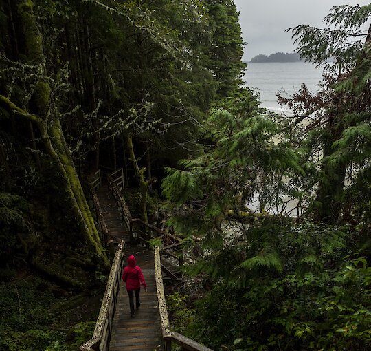 Tonquin Trail