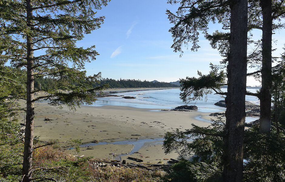 Canopy Suite View of Chesterman Beach